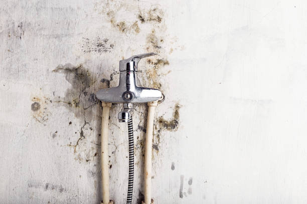 Best Water Damage Restoration  in Velva, ND