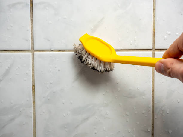 Best Local Mold Removal Service  in Velva, ND